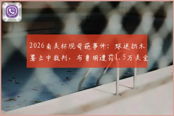 2026南美杯现奇葩事件:球迷扔木薯击中裁判,布鲁明遭罚1.5万美金!详解南美足联处罚规定与球场安全准则